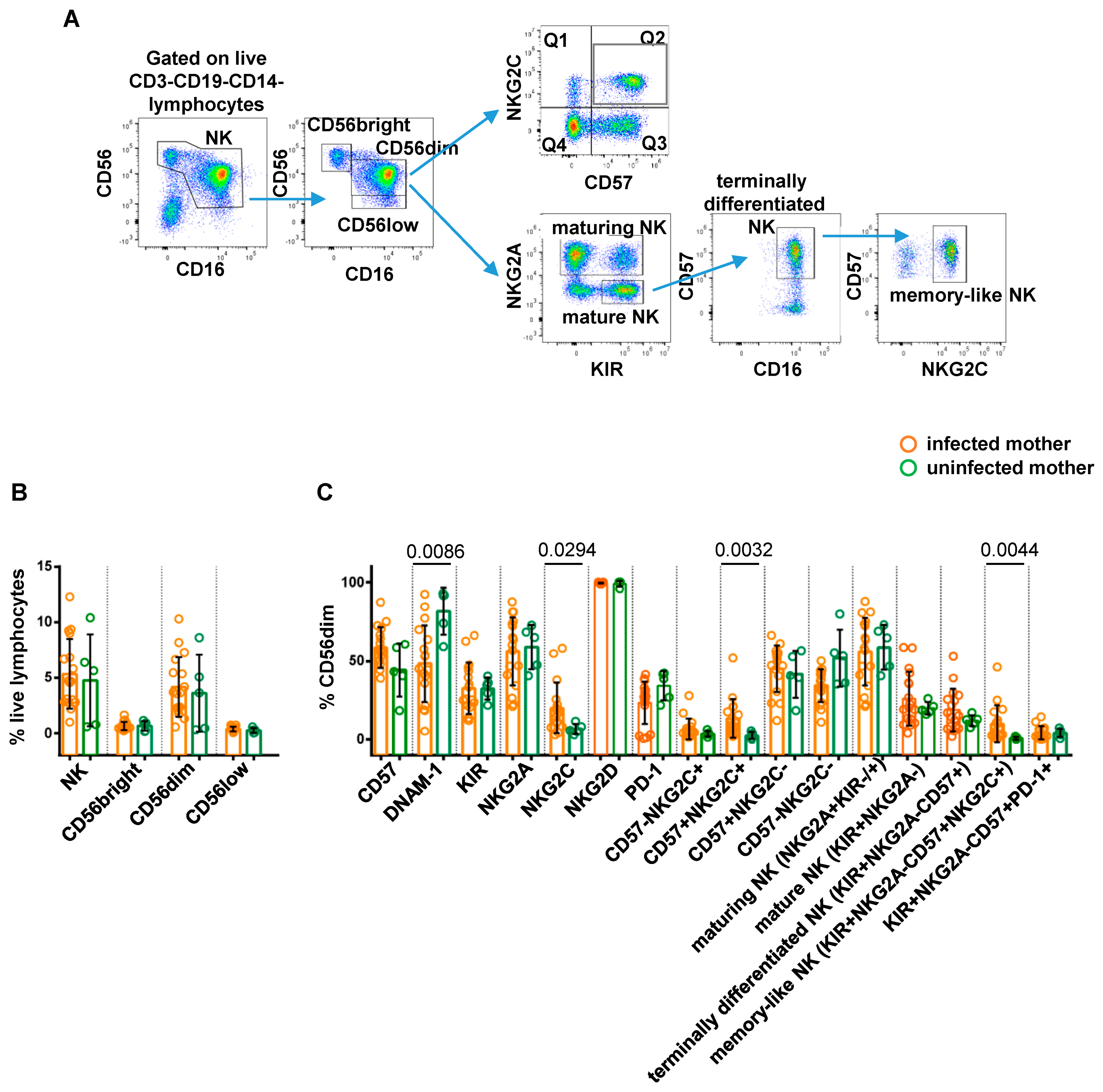 Viruses 16 00780 g002